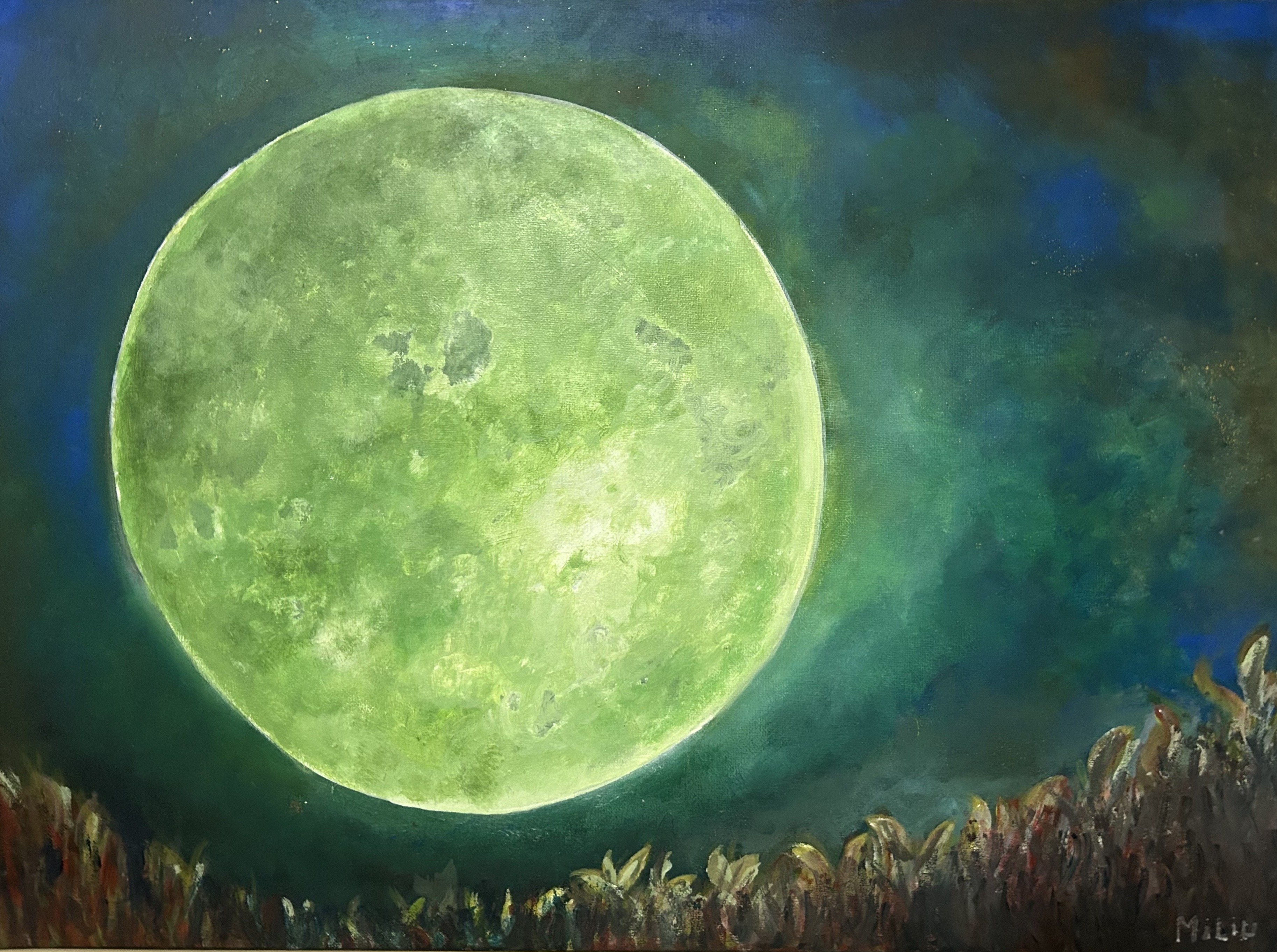 Cliquez pour agrandir Exposition - Miliu Matteu