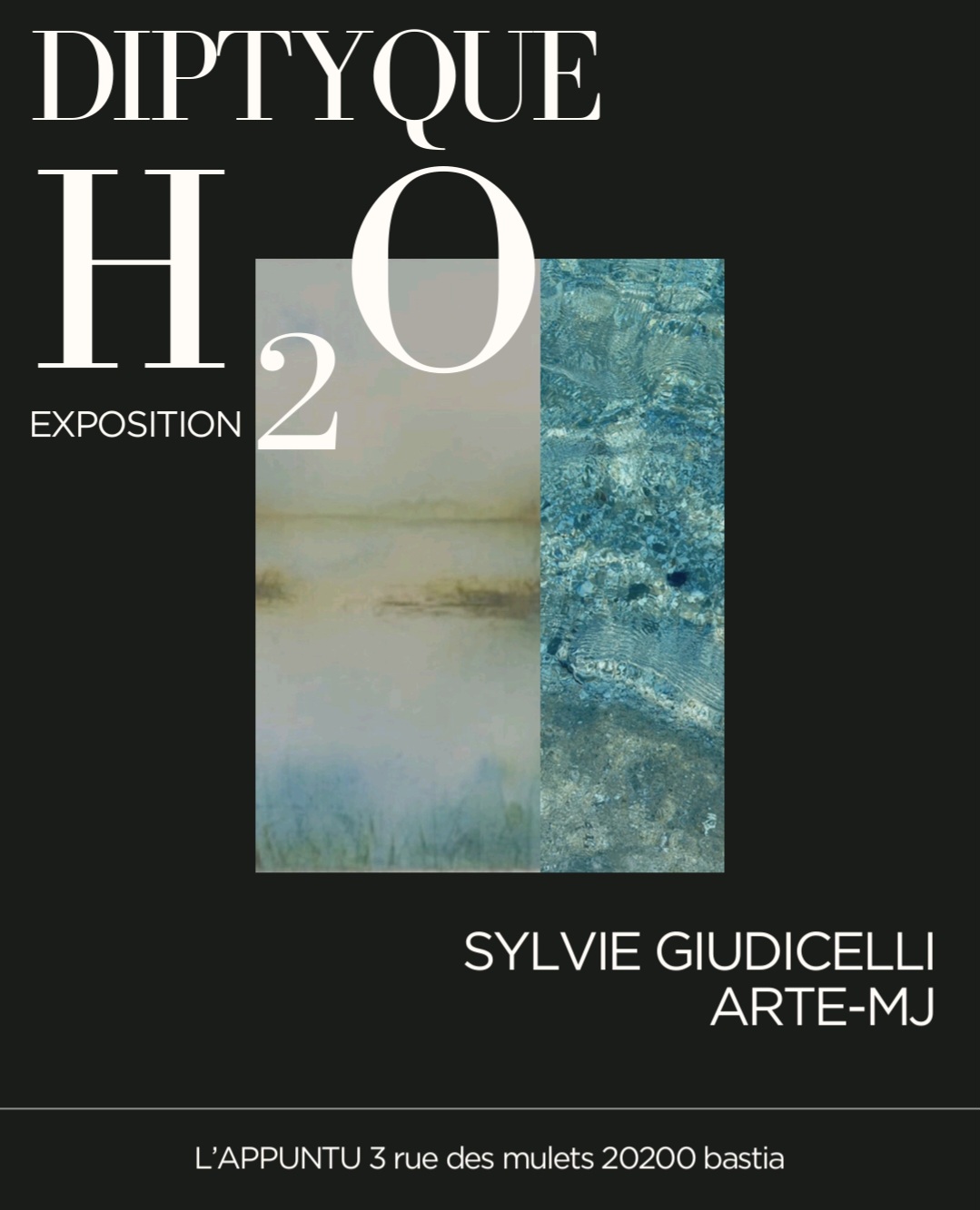Exposition - Arte-MJ & Sylvie GUIDICELLI